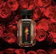 Avon Imari Rouge EDT Perfume 50ml - 2