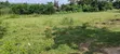 Half Plot of Land for Sale at Ablekuma Joma Alhaji Farms - 2