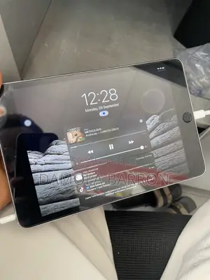 Apple iPad mini 4 16GB Gray
