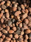 Shea Nuts for Sale - 500 Metric Tons Available - 1