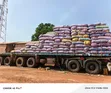 Shea Nuts for Sale - 500 Metric Tons Available - 3