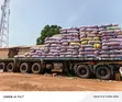 Shea Nuts for Sale - 500 Metric Tons Available - 4