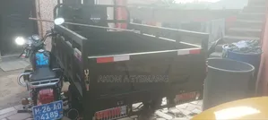 Apsonic AP200ZH-VIP Tricycle 2025 Green