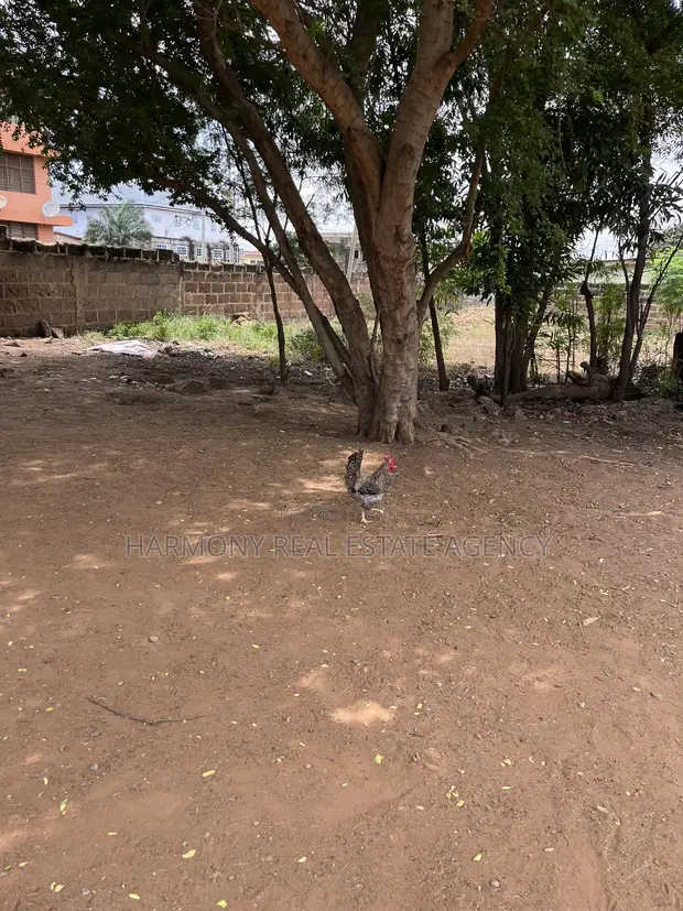 3 Plots for Sale - Airport Residential Area - 1