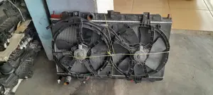 Nissan Sentra 2005 Water Tank and Condenser