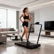 Brand New King Mini Treadmill Walking Pad - 2