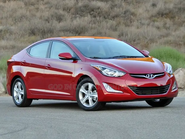 Hyundai Elantra 2016 Turbo Water Tank and Condenser - 1