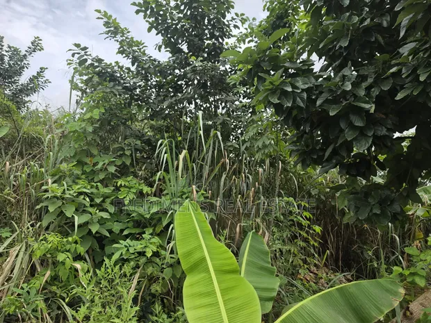 Land for Sale at Asuofia-Achiase - 1