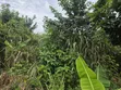 Land for Sale at Asuofia-Achiase - 3