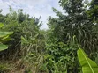 Land for Sale at Asuofia-Achiase - 5