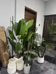 Artificial Short Palm Plant with Pot - 5
