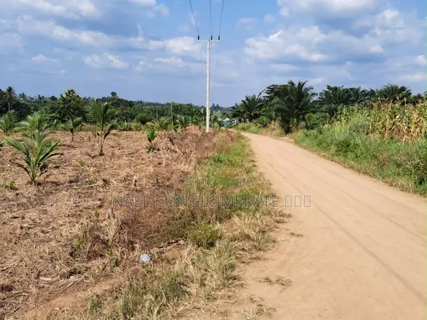 Plots for Sale at Teacher Mante - 1