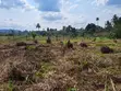 Plots for Sale at Teacher Mante - 3