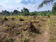 Plots for Sale at Teacher Mante - 4