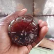 Pure Natural Honey - 3