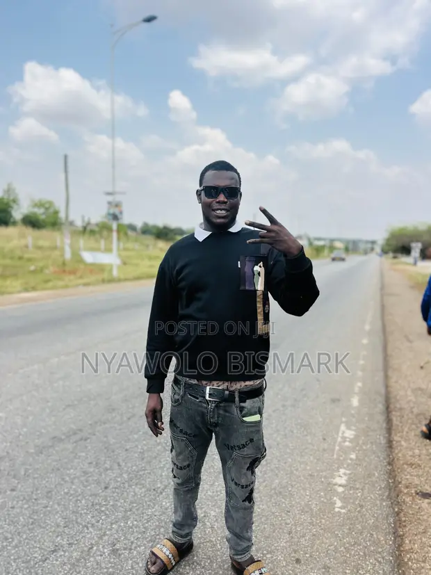Driver Seeking Work and Pay Cars for Bolt - 1