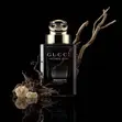 Gucci Intense Oud Eau de Parfum 90ml - 2