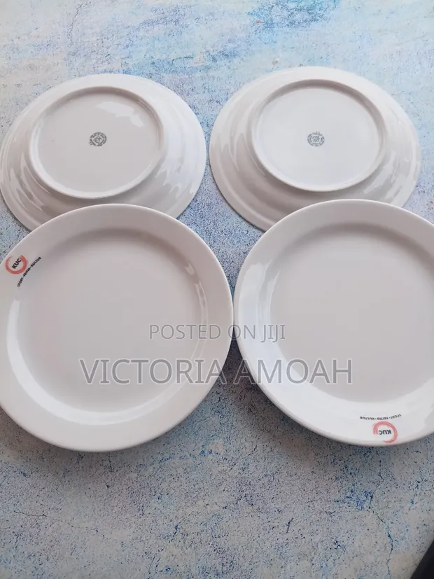 White Ceramic Dinner Plate - Made in Czech Republic - 1
