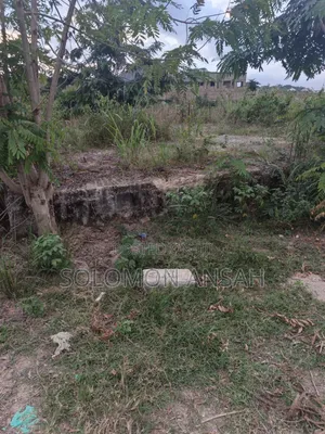 Half Plot for Sale at Aputuogya (Container Mu)