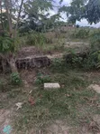 Half Plot for Sale at Aputuogya (Container Mu) - 1