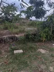 Half Plot for Sale at Aputuogya (Container Mu) - 2