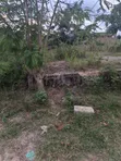 Half Plot for Sale at Aputuogya (Container Mu) - 3