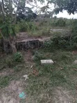 Half Plot for Sale at Aputuogya (Container Mu) - 4