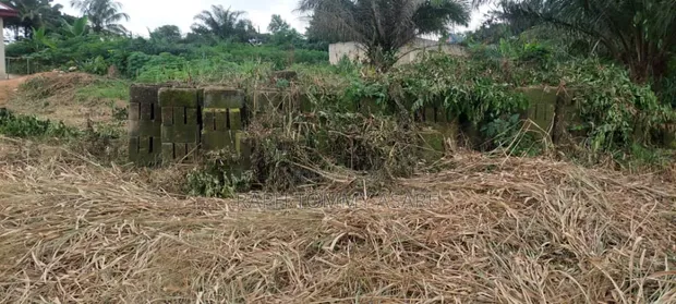 Plot of Land with Blocks and Sand for Sale - 1