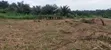 Plot of Land with Blocks and Sand for Sale - 2