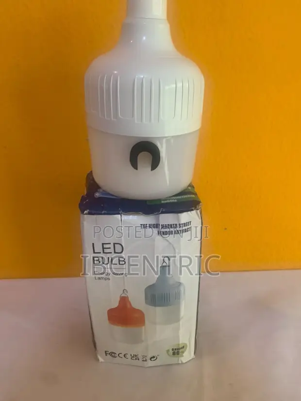 Portable LED USB Rechargeable Light - 1