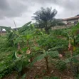 Plot of Land for Sale at Ipt Nyankyereniase - 5