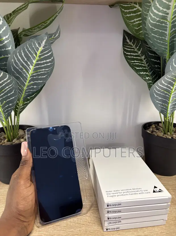 iPhone 12 Pro Max Screen (iCloud Locked) - 1