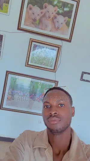 Restaurant Waitress/Waiter CV Available