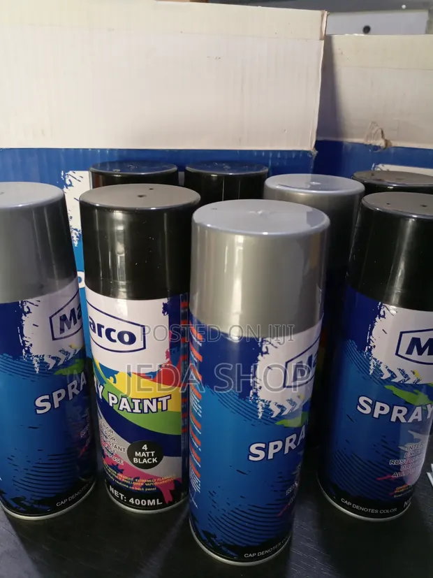 Dr Fixit Spray Paint - 1