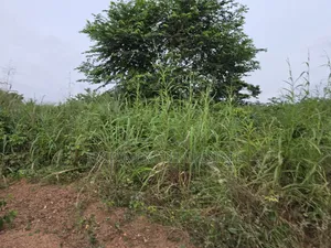 Land for Sale at Aboabugya