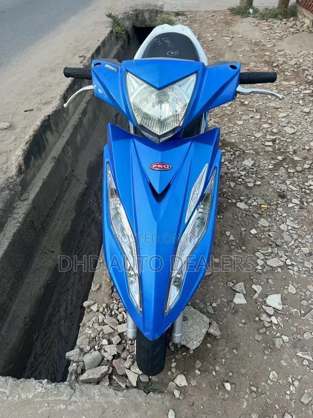 Piaggio PGO Bon 125 Scooter 2014 Blue - 1