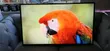 LG 50-inch Smart TV - 4