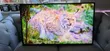 LG 50-inch Smart TV - 5