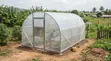 Greenhouse Kit - 1