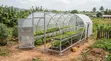 Greenhouse Kit - 2