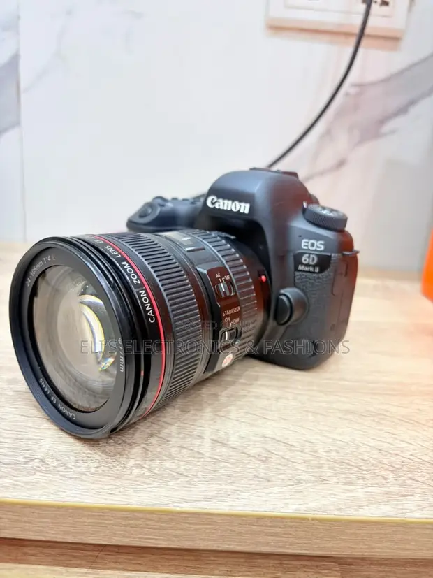 Canon EOS 6D Mark II with 24-105mm Lens - 1
