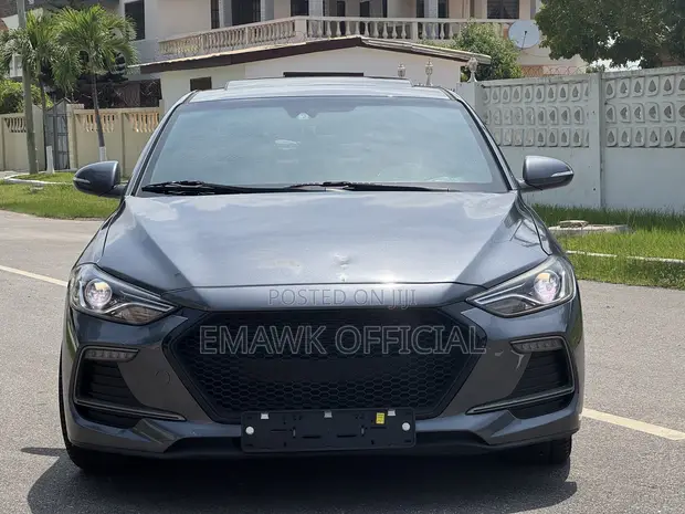Hyundai Elantra 2018 Gray - 1