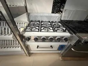 Stainless Steel 6 Burner Gas Stove with Oven