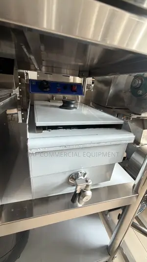 Commercial Electric Single Fryer 12L