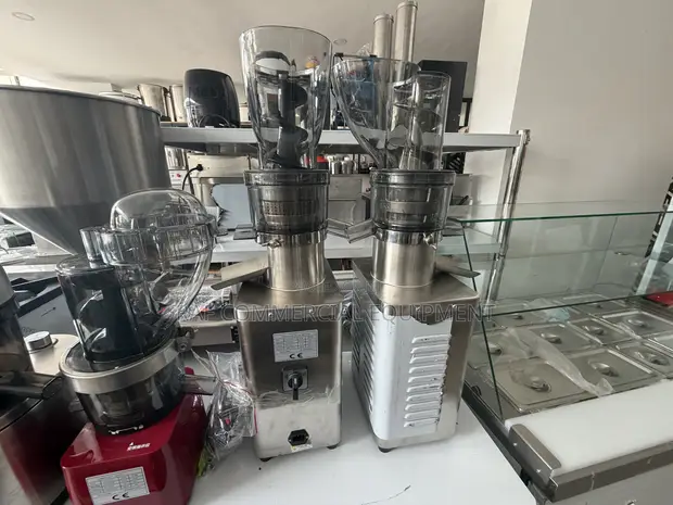 Commercial Full Stainless Steel Slow Juicer 1200W - 1