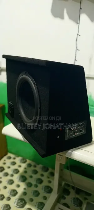 Rechargeable 12-Inch Subwoofer Speaker Box