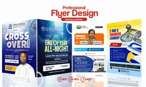 Professional Graphics Designer - 6 Years Experience