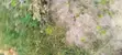 Plot of Land for Sale at Apemanim Kokobeng - 2