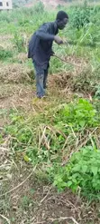 Plot of Land for Sale at Apemanim Kokobeng - 3