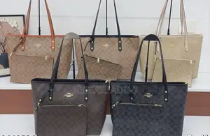Coach Ladies Handbag